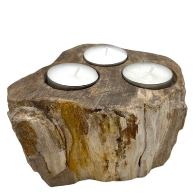 Petrified Wood Candle Holder product image