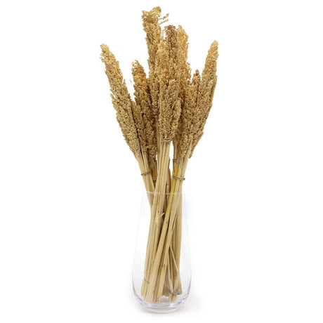 Cantal Grass Bunch - Natural