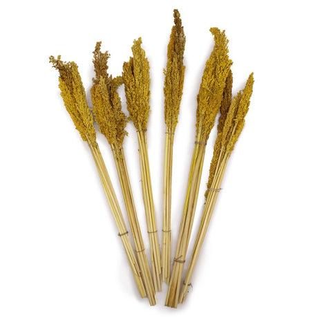 Cantal Grass Bunch - Amber