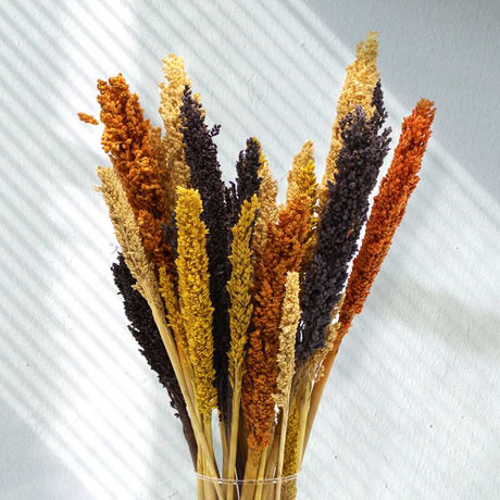 Cantal Grass Bunch - Orange