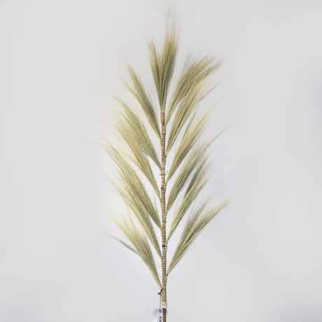 Rayung Grass Blond - 1.6m