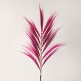 Rayung Grass Pink- 1.6m