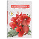 Set of 6 Scented Tealights - Hibiscus & White Sage