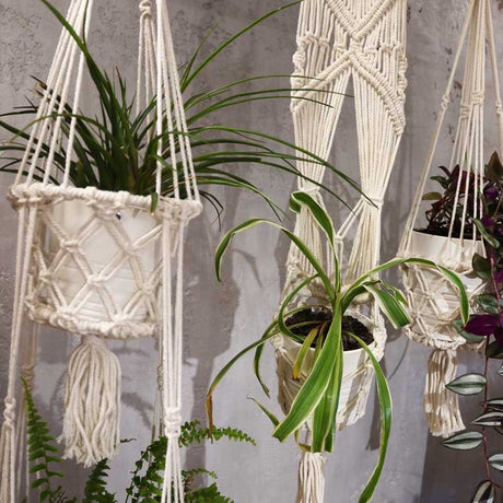 Macrame Pot Holder - Single Small Pot