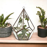 Glass Terrarium - Large Pentagon