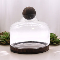 Terrariums product image