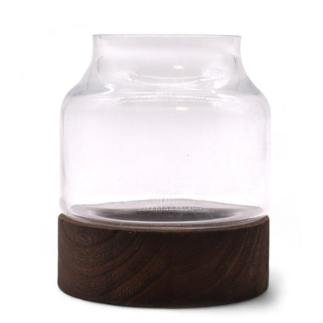 Small Shaped Terarium on Dark Tung Wood