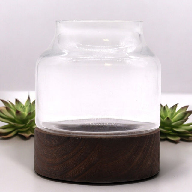 Small Shaped Terarium on Dark Tung Wood