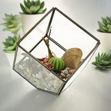 Glass Terrarium - Cube on Corner