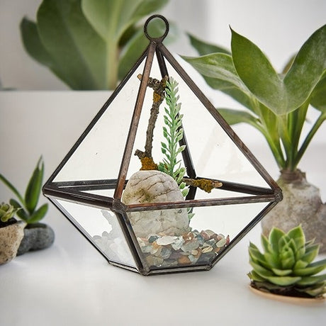 Glass Terrarium - Small Diamond