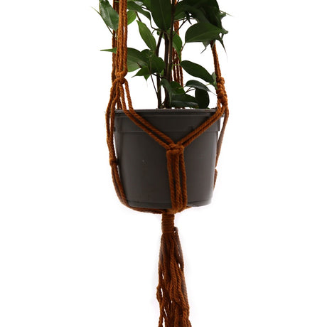 Macrame Pot Holder Classic - Chocolate Med Pot