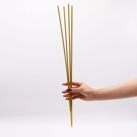 Biofresh Garden Incense Sticks - 50cm - Citronella