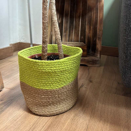 Set of 3 Cotton Rope Storage Baskets - Pistachio