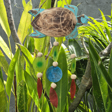 Aqua Turtle Carving and Copis Drop