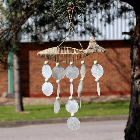 String Fish and Natural Copis Drop