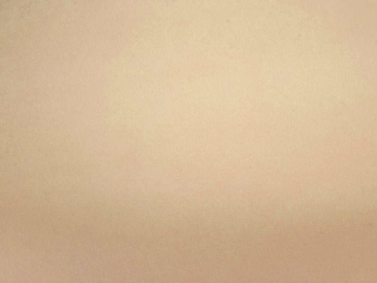 Notting Hill Crush Ecru / SR16202