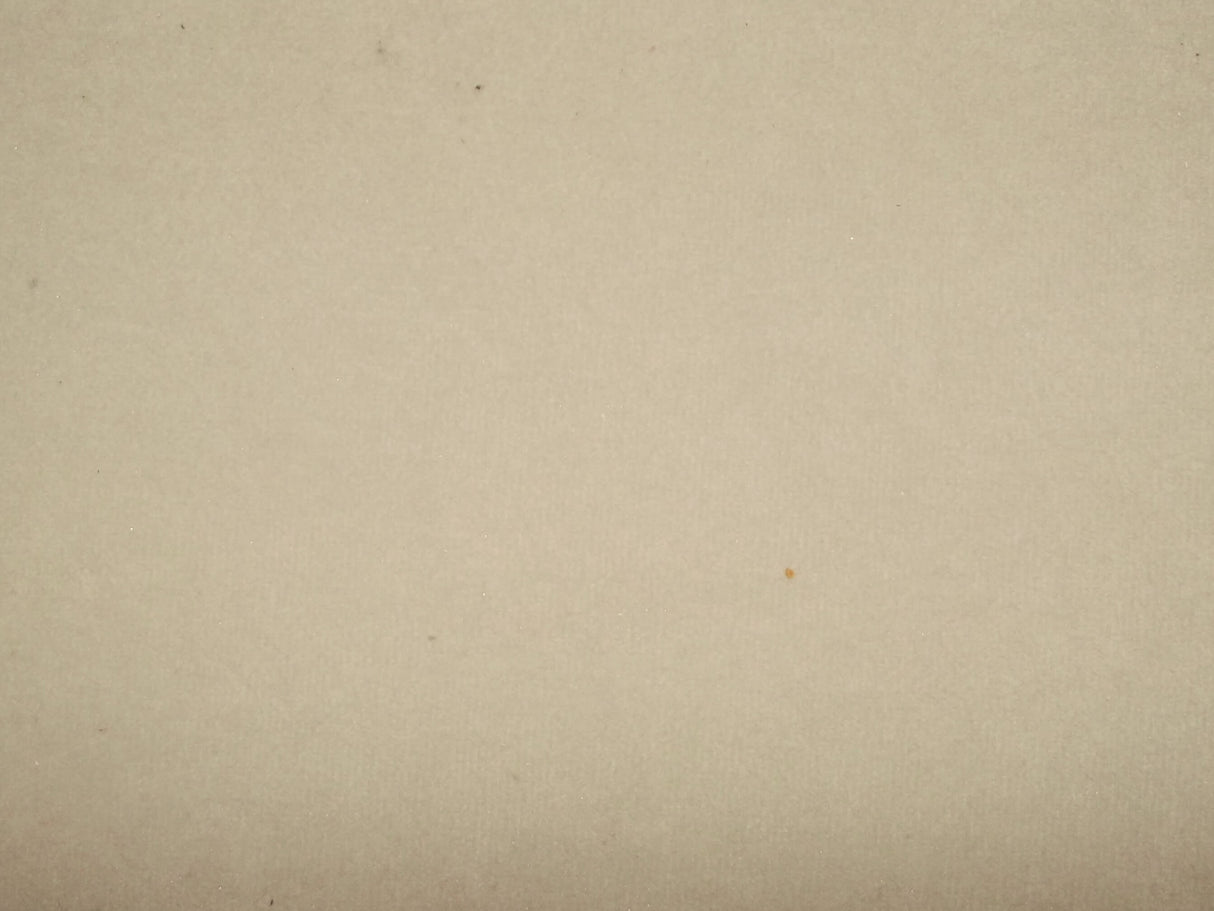 Notting Hill Crush Dolphin / SR16215