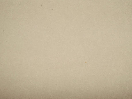 Notting Hill Crush Dolphin / SR16215