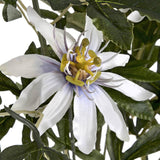 Passion Flower Spray