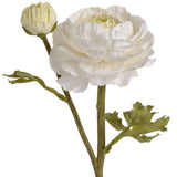 White Ranunculus Spray