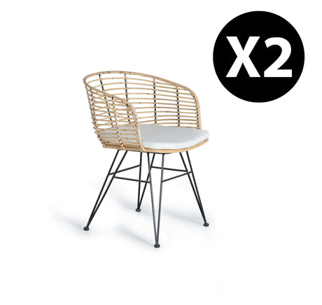 Giner and Colomer  Set Of 2 Rattan And Metal Chairs With Cushions