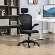 Vinsetto Multi-Adjustable Office Chair, with Lumbar Support, Headrest and Mesh Back - Black