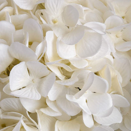 Oversized White Hydrangea