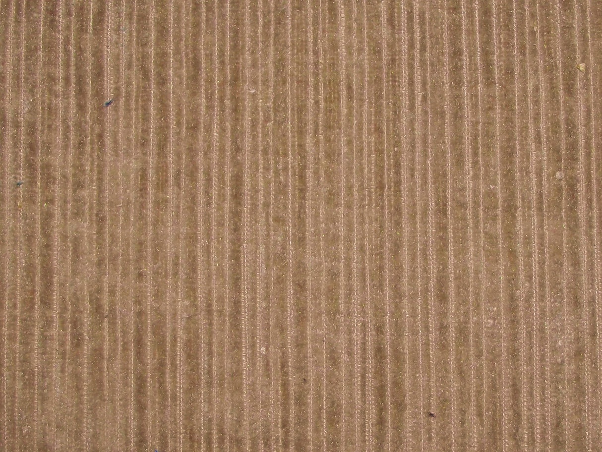 Pastiche Rib Mushroom / SR18131