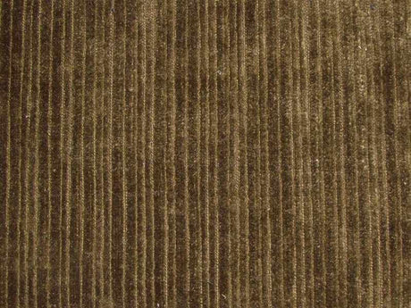 Pastiche Rib Moss / SR18138 (Per Metre)