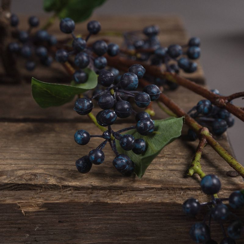 Viburnum Berry