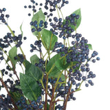 Viburnum Berry