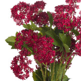 Red Autumnal Viburnum