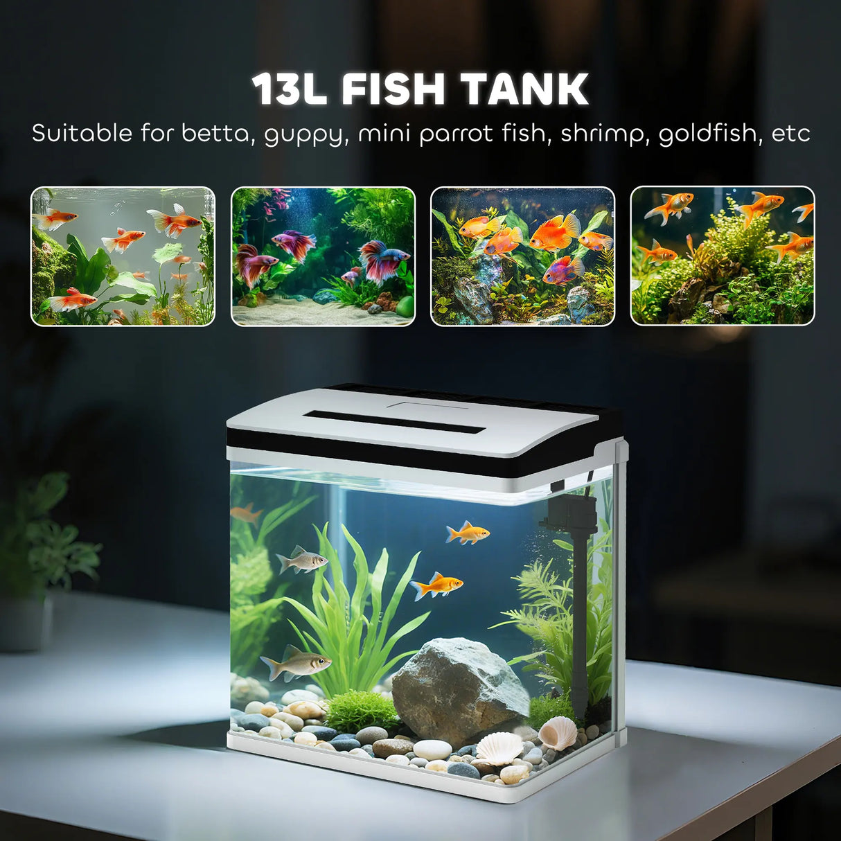 PawHut 13L Glass Aquarium Fish Tank with Filter, LED Lighting, for Betta, Guppy, Mini Parrot Fish, Shrimp, 29 x 20 x 30.5cm