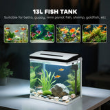 PawHut 13L Glass Aquarium Fish Tank with Filter, LED Lighting, for Betta, Guppy, Mini Parrot Fish, Shrimp, 29 x 20 x 30.5cm