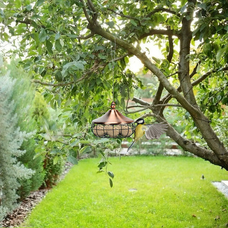 Hanging Suet Fat Ball Feeder for Wild Birds