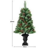 4 Feet Christmas Entrance Tree with Pine Cones