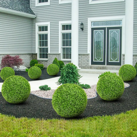 2 Pieces Artificial Plant Boxwood Topiary Ball-M