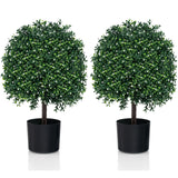 2 Piece Artificial Boxwood Topiary Ball Tree with UV Rated Leaves and 343 White Fruits