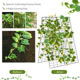 Garden Cucumber Trellis with Twist Tie for Climbing Plants