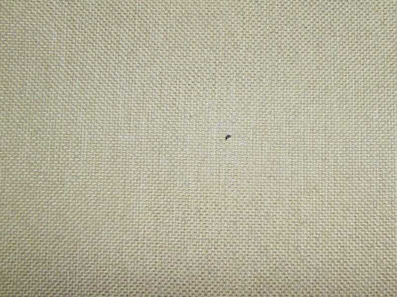 Perth Plain Dove / SR13656 (Per Metre)