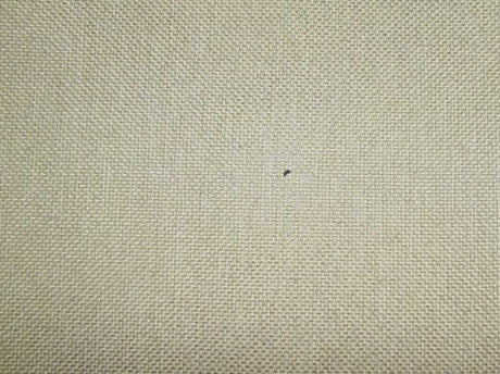 Perth Plain Dove / SR13656 (Per Metre)
