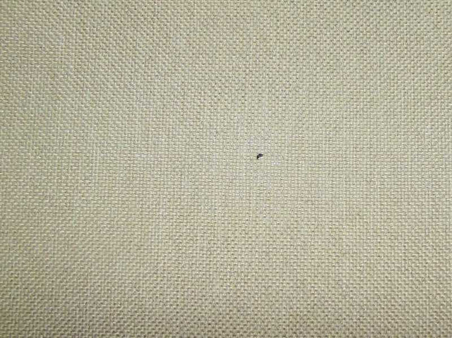 Perth Plain Dove / SR13656 (Per Metre)