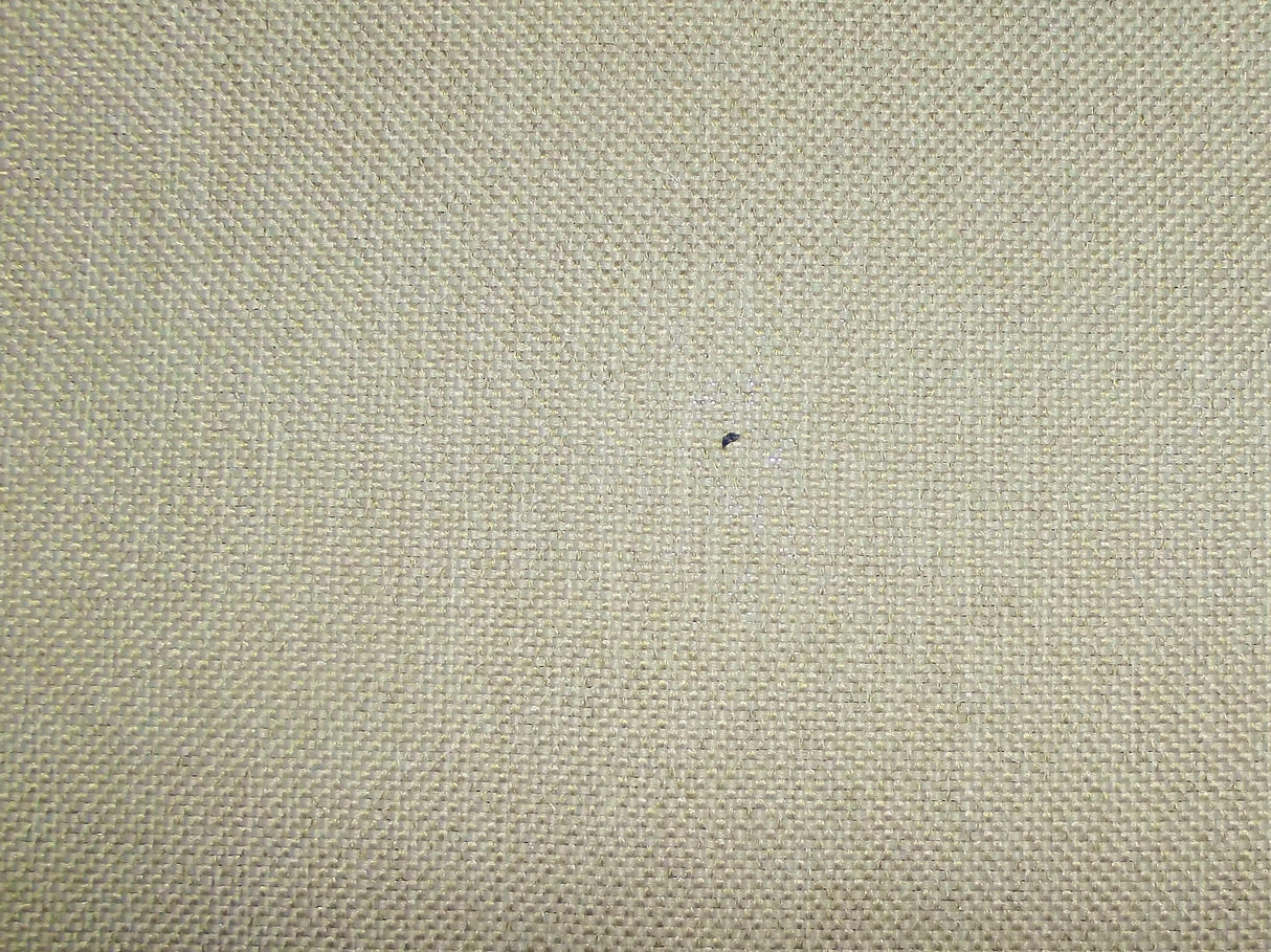 Perth Plain Dove / SR13656