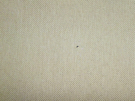 Perth Plain Dove / SR13656