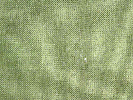 Perth Plain Olive / SR13677 (Per Metre)
