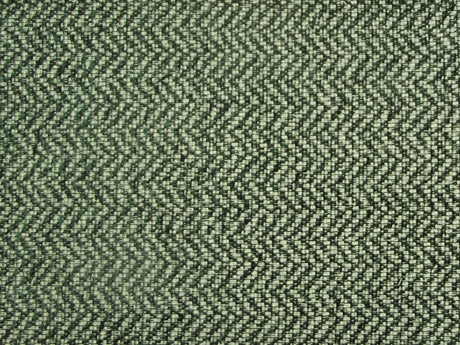 Perth Herringbone Fern / SR13680