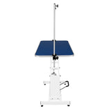 White Hydraulic Grooming Table - Blue Table Top