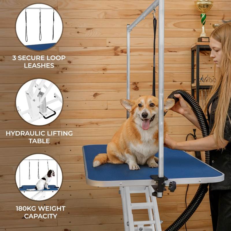 White Hydraulic Grooming Table - Blue Table Top