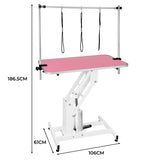 White Hydraulic Grooming Table - Pink Table Top