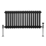 Traditional 2 Column Radiator - 300 x 832mm - Black